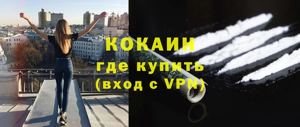 молекула духа Богородск