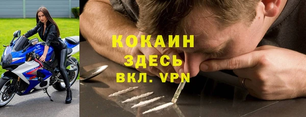 молекула духа Богородск